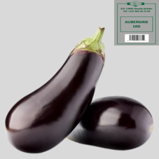 AUBERGINE : 1kg