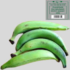 PLANTAIN DU MUNGO : PETIT DOIGT